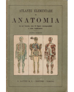 Atlante elementare di anatomia 6 tavole 13 figure ed. Lattes A55
