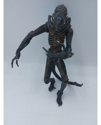 Alien vs Predator XENOMORFO Action Figure NO BOX Gd27