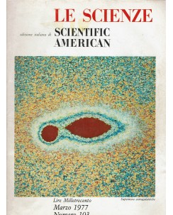 Le scienze scientific american  103 supernove extragalattiche Le Scienze FF19