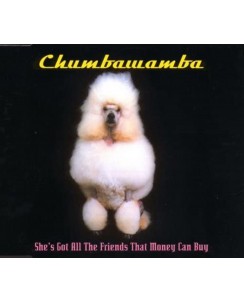 CD Chumbawamba : She'S Got All the Friends That - 4 tracce EMI B40
