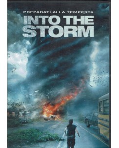 DVD Into the storm ed. Warner Bros ita usato B26