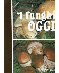 I funghi oggi enciclopedia della cucina ed. Editrice Velar FF05