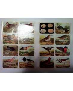 Figurine Uccelli da Inserto Almanacco Topolino 1963 * Collezione * Walt Disney
