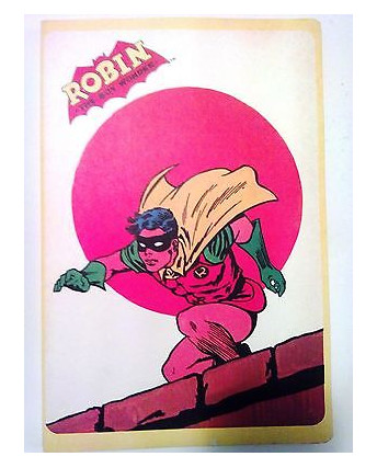 Quadernone Robin The Boy Wonder * NUOVO! COLLEZIONE DC! VINTAGE