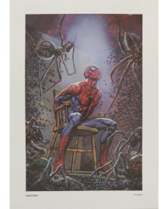Spider-Man Stampa di Glenn Fabry 25x35 cm ed.Panini FU06