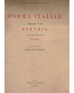 Forma Italiae Regio VII Etruria Vol. I Pisae ed.Unione Arti Grafiche FF07