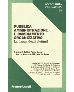 P.Arcuri: pubblica amministrazione e cambiamento organizzativo ed.F.Angeli A75