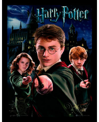 Harry Potter Harry Ron Hermione - con Cornice 30 x 40 Ufficiale Stampa Gd27