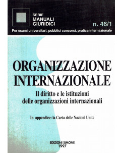 Organizzazione internazionale diritto istituzioni internazioni Carta N.Unite A05