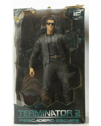 Terminator T2 Pescadero Escape action figure 30cm Schwarzenegger BOX Neca Gd04