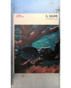 L. Engel: I regni della vita, il mare ill.to Ed. Mondadori [RS] A55