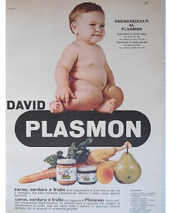 P63 .041  Pubblicita' Advertising  PLasmon omogenizzati   1963  Clipping