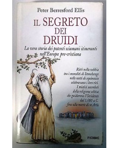 P.B. Ellis: Il segreto dei Drudi Ia edizione Edizioni Piemme A40
