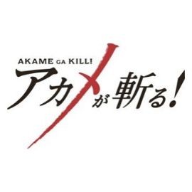 Akame Ga Kill Manga